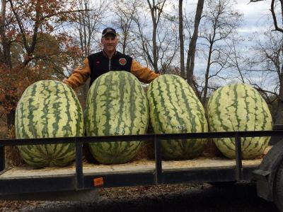 fruitImages/272.5 Neptune 2014.jpg